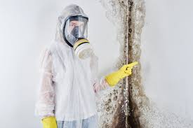  Nassau Village Ratliff, FL Mold Remediation Pros